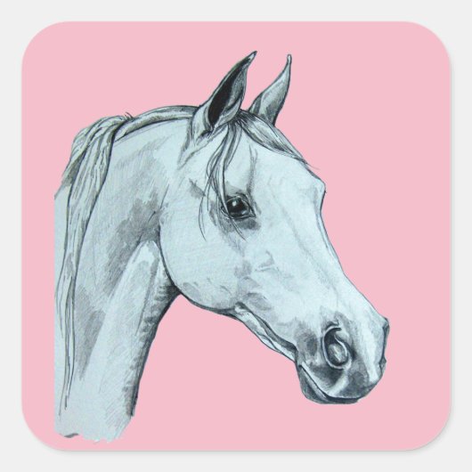 アラブホースペンシルポートレートオンピンク背景 スクエアシール (正面)