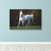 アラブホースランニングズ1 キャンバスプリント (インサイチュ (ウッドフロア))