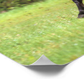 アラブホースランニングズ2 ポスター (角)