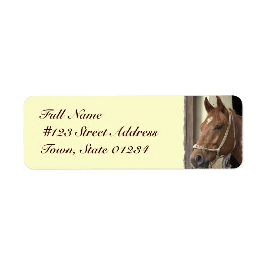 アラブホース差出人住所ラベル ラベル (正面)