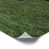 アラブマーレ&フォール ポスター (角)