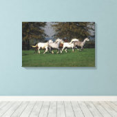 アラブランニングスのフィールド キャンバスプリント (インサイチュ (ウッドフロア))