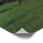 アラブランニングスのフィールド ポスター (角)