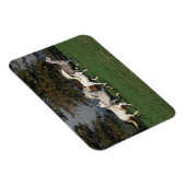 アラブランニングスのフィールド マグネット (右側)