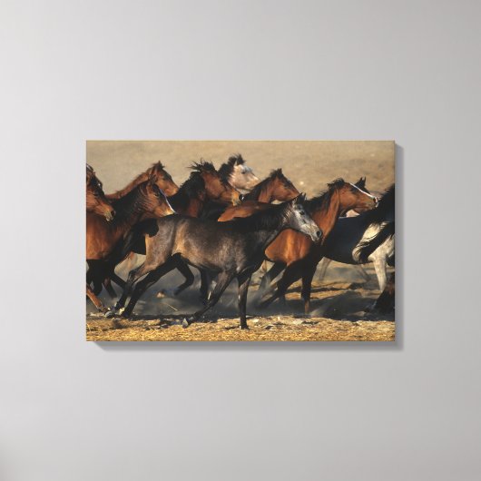 アラブランニングスの砂漠の キャンバスプリント (正面)