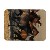 アラブランニングスの砂漠の マグネット (横)