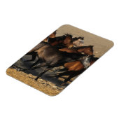 アラブランニングスの砂漠の マグネット (左側)