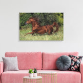 アラブランニングスタリオンの芝生 キャンバスプリント (インサイチュ (リビング))
