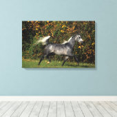 アラブランニングス諸島:秋 キャンバスプリント (インサイチュ (ウッドフロア))