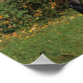 アラブランニングス諸島：秋 ポスター (角)