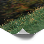 アラブランニング馬の草原 ポスター (角)