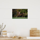 アラブランニング馬の草原 ポスター (キッチン)