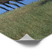 アラブ人グループ ポスター (角)