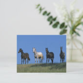 アラブ人グループ ポストカード (スタンド正面)