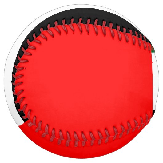 アラブ首長国国旗を掲げ統一されたた愛国的ソフトボール ソフトボール (正面左)