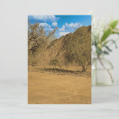 アラブ首長国連邦のハハル山脈の墓地 シーズンカード (スタンド正面)