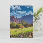 アラブ首長国連邦の景勝地 シーズンカード (スタンド正面)