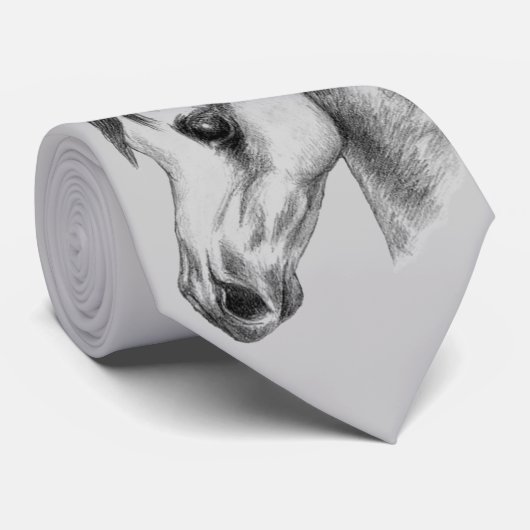 アラブ首長国 ネクタイ (ロール)