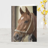 アラブ馬グリーティングカード カード (黄色い花)
