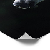 アラブ馬ヘッドショット2 ポスター (角)