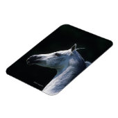 アラブ馬ヘッドショット2 マグネット (左側)