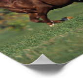 アラブ馬ランニング団 ポスター (角)