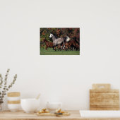 アラブ馬ランニング団 ポスター (キッチン)