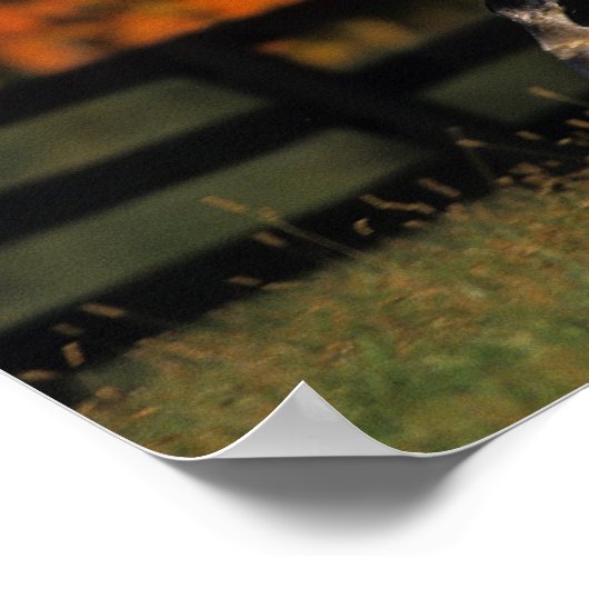 アラブ馬:秋1 ポスター (角)