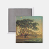 アラブ・オアシス， 1853 マグネット (正面/裏面)