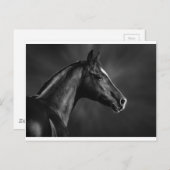 アラブ・フォール ポストカード (正面/裏面)