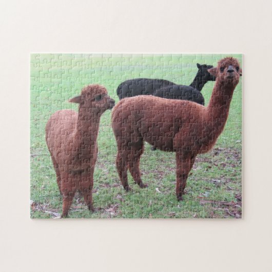 アラプカ集団 ジグソーパズル (横)