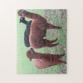 アラプカ集団 ジグソーパズル (縦)