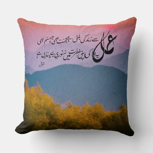 アラマイクバルポアティアマール言うジンダギ装飾用クッション クッション (正面)