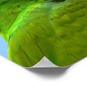 アラミリタリスグリーンオウム ポスター (角)