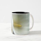 アラムユリのマグ ツートーンマグカップ (正面右)