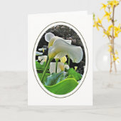 アラムユリの空白のな挨拶状 カード (黄色い花)