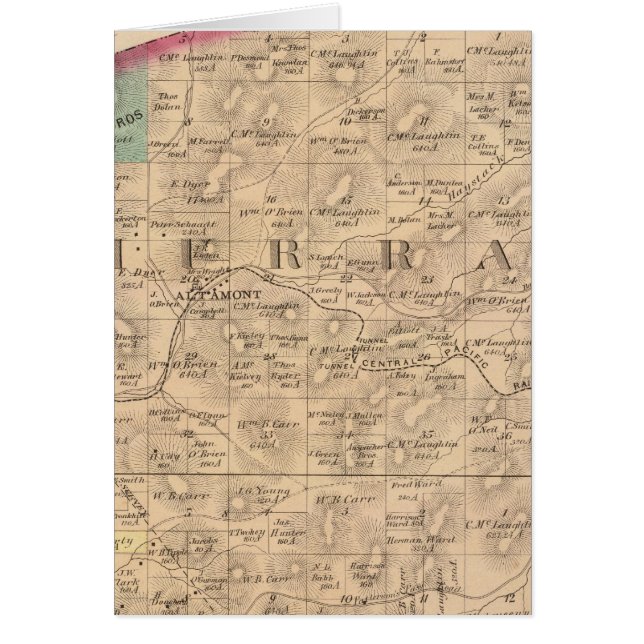 アラメダコ8 (正面)