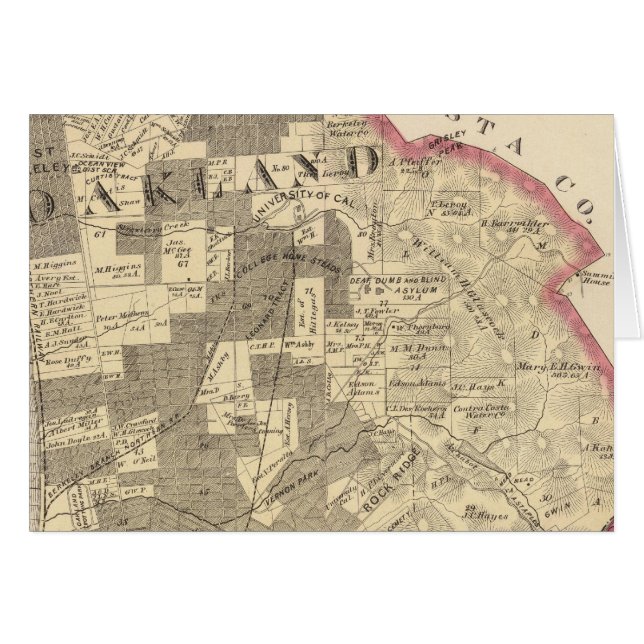 アラメダ1 (正面横)