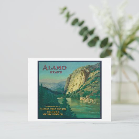 アラモオレンジラベルフィルモア、CA ポストカード (スタンド正面)