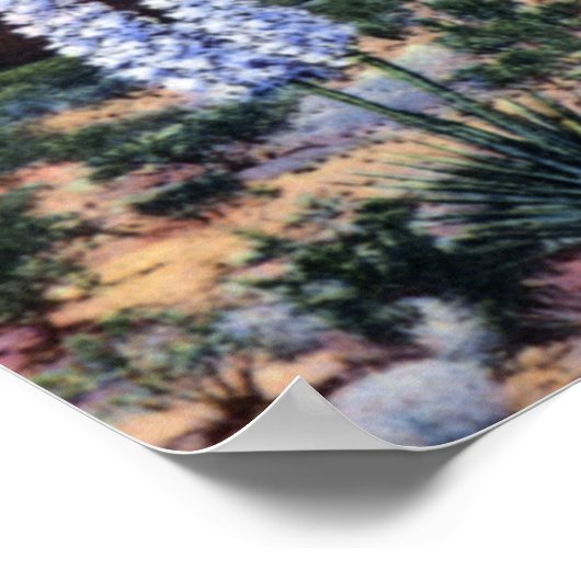 アラモゴルドニューメキシコサクラメントマウンテンズ ポスター (角)