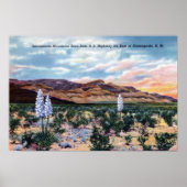 アラモゴルドニューメキシコサクラメントマウンテンズ ポスター (正面)