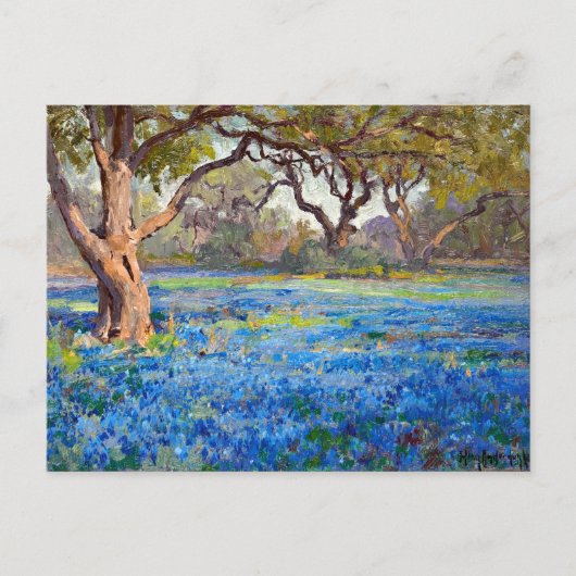 アラモハイツのブルーボンネットの分野, 1919 ポストカード (正面)