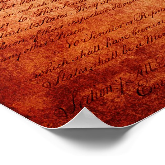 アラモ国旗 ポスター (角)