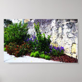 アラモ花 ポスター (正面)