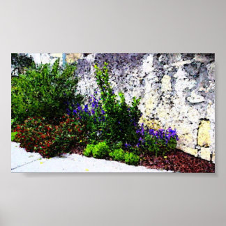 アラモ花 ポスター