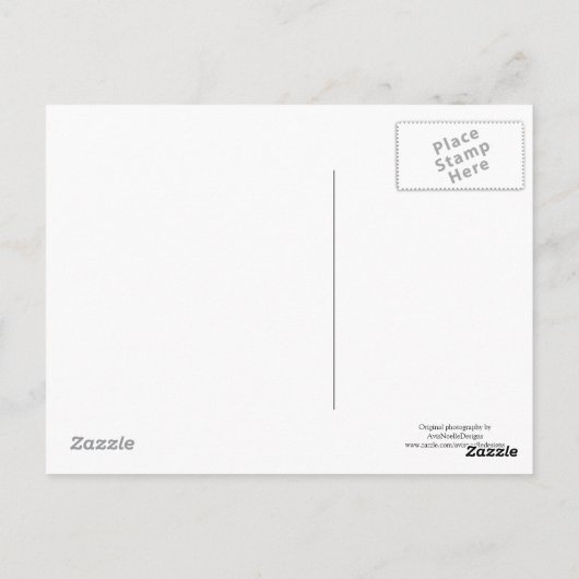 アラモ、サンアントニオ、テキサス州。 ポストカード (裏面)