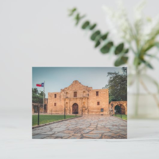 アラモ ポストカード (スタンド正面)