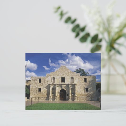 アラモ ポストカード (スタンド正面)