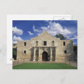 アラモ ポストカード (正面/裏面)