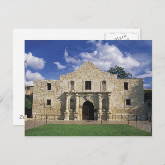 アラモ ポストカード (正面/裏面)